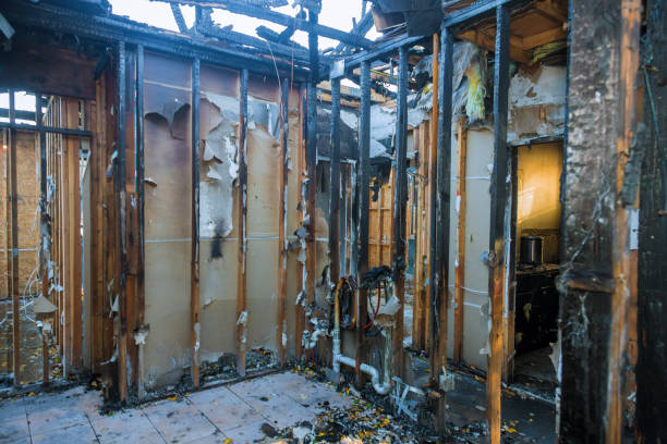Professional Fire Damage Removal technician working in Brinkley, AR